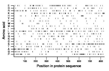 amino acid map