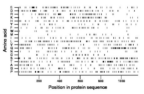 amino acid map