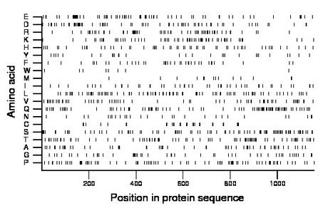 amino acid map