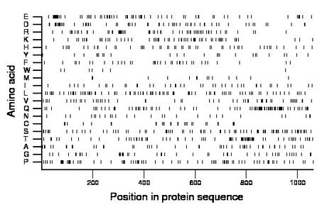 amino acid map