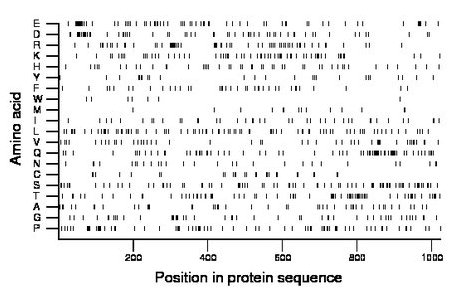 amino acid map