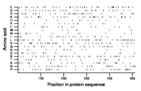 amino acid map