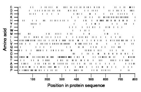 amino acid map