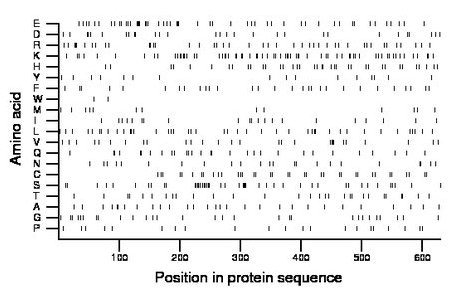 amino acid map