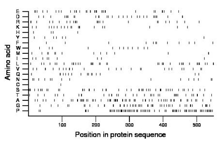 amino acid map