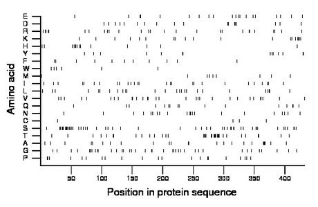 amino acid map