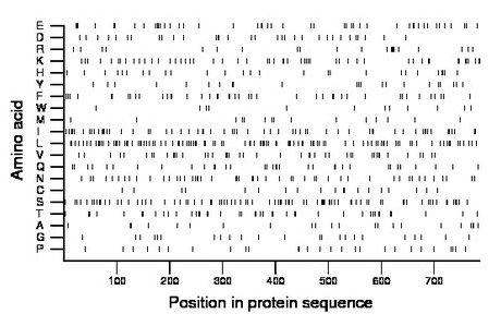 amino acid map