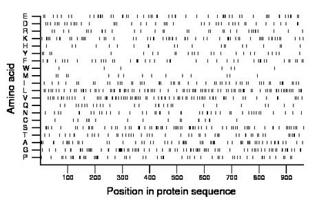 amino acid map