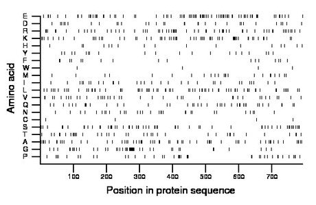 amino acid map