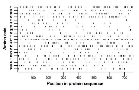 amino acid map