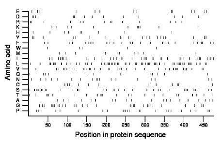 amino acid map