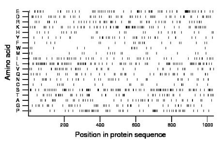 amino acid map