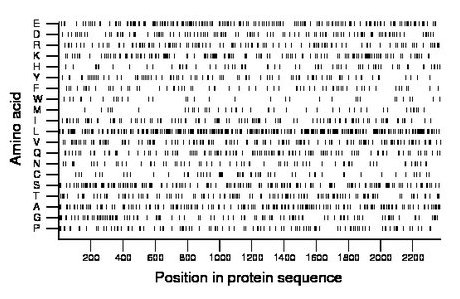 amino acid map