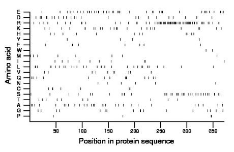 amino acid map