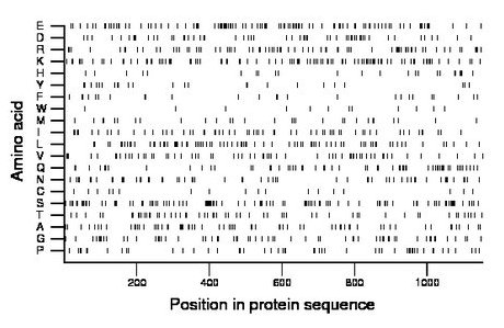 amino acid map