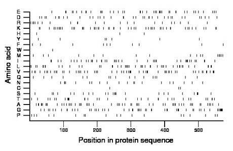 amino acid map