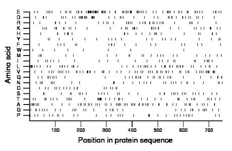 amino acid map