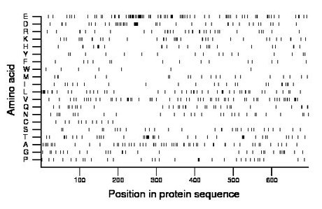 amino acid map