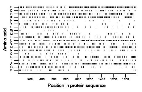 amino acid map