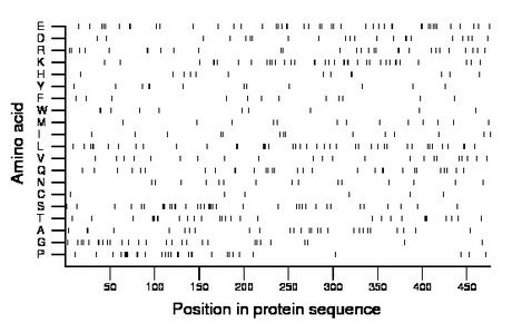 amino acid map