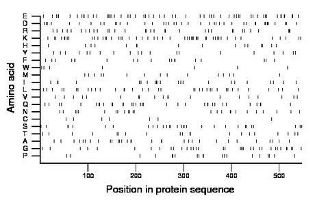 amino acid map