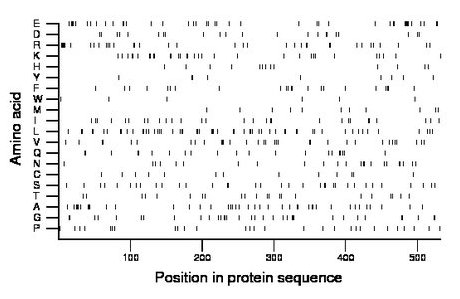 amino acid map