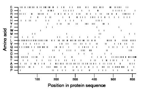 amino acid map