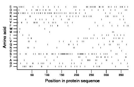 amino acid map