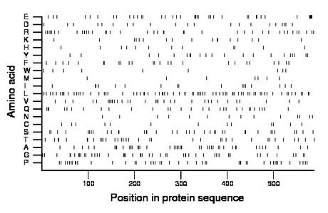 amino acid map