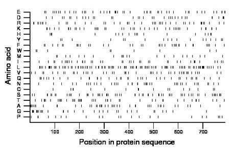 amino acid map