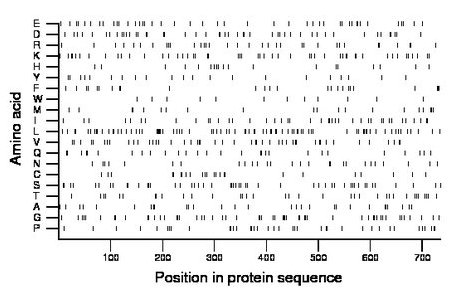 amino acid map