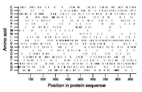 amino acid map