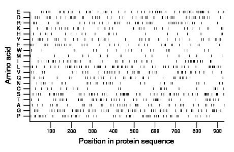 amino acid map