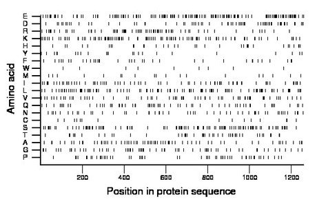 amino acid map