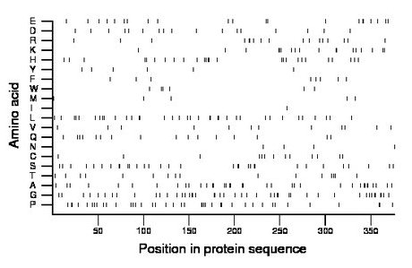 amino acid map