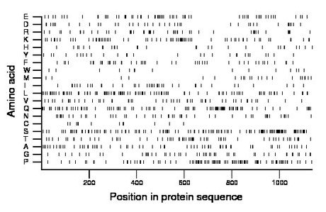 amino acid map