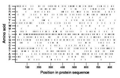 amino acid map