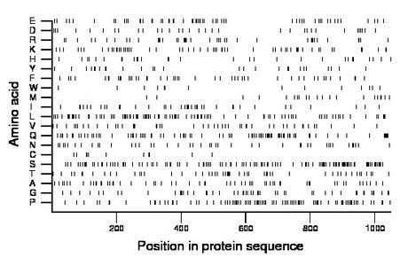 amino acid map