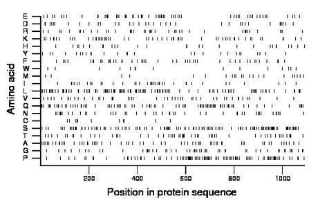 amino acid map