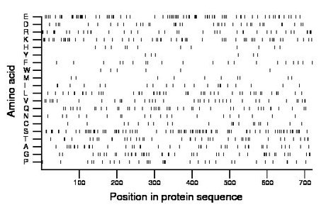 amino acid map