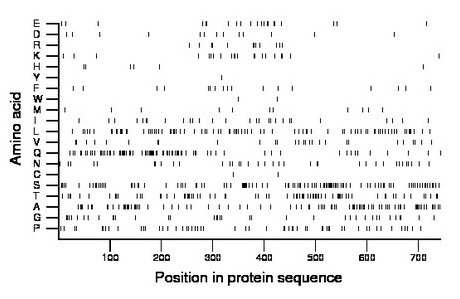 amino acid map