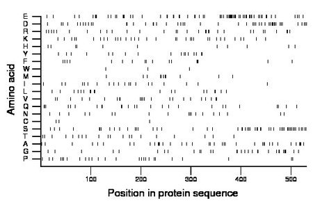 amino acid map