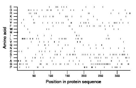 amino acid map