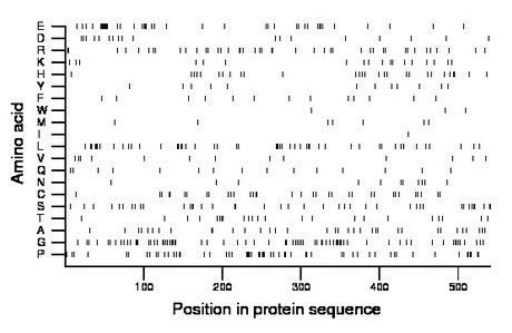 amino acid map