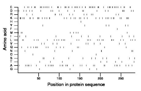 amino acid map