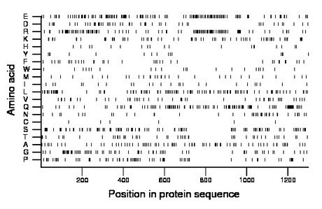 amino acid map