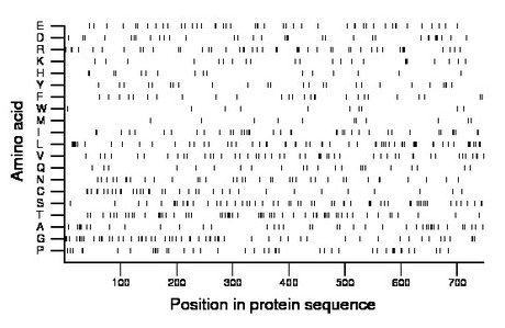 amino acid map