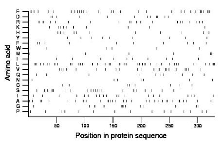 amino acid map