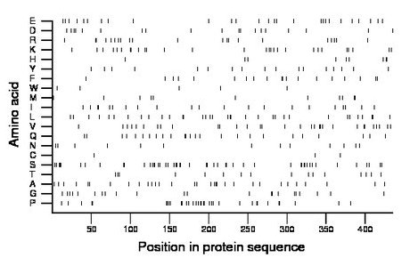 amino acid map