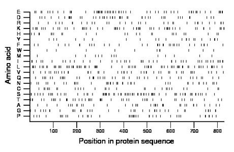 amino acid map